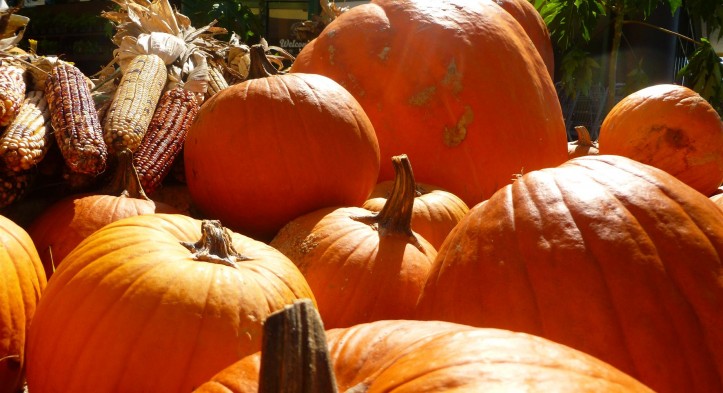 A Taste of Autumn