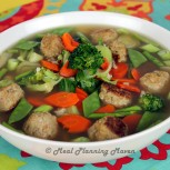 Mini Chicken Meatballs ‘n Vegetable Soup